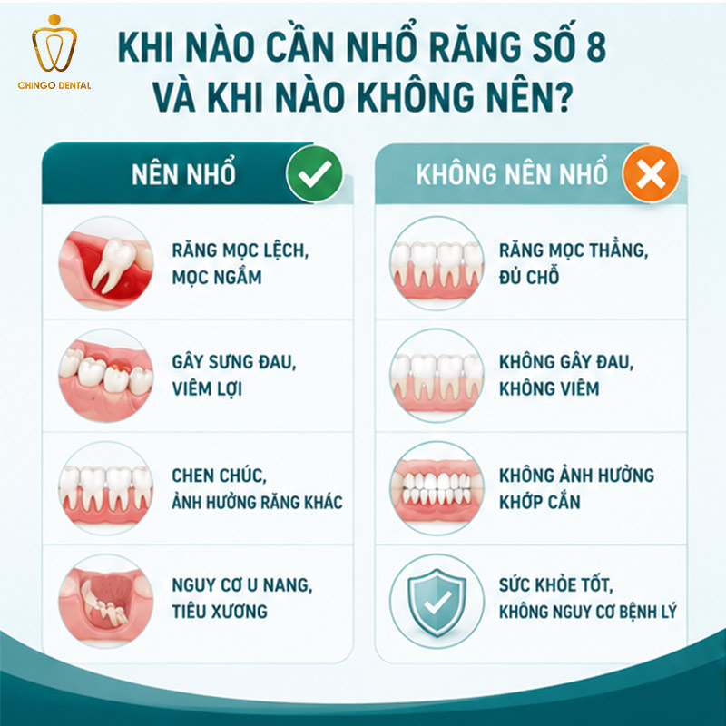 Nhổ Răng Số 8 Có Ảnh Hưởng Gì Không? Sự Thật Bác Sĩ Muốn Bạn Biết Trước Khi Quyết Định 3 răng số 8 là răng gì