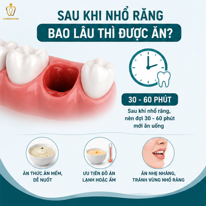 Mới Nhổ Răng Nên Ăn Gì? Hướng Dẫn Đầy Đủ Từ Bác Sĩ 1 mới nhổ răng nên ăn gì