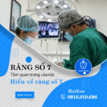 Răng Số 7 Là Răng Nào? Tại Sao Mất Răng Số 7 Được Coi Là "Thảm Họa" Cho Sức Khỏe? răng số 7