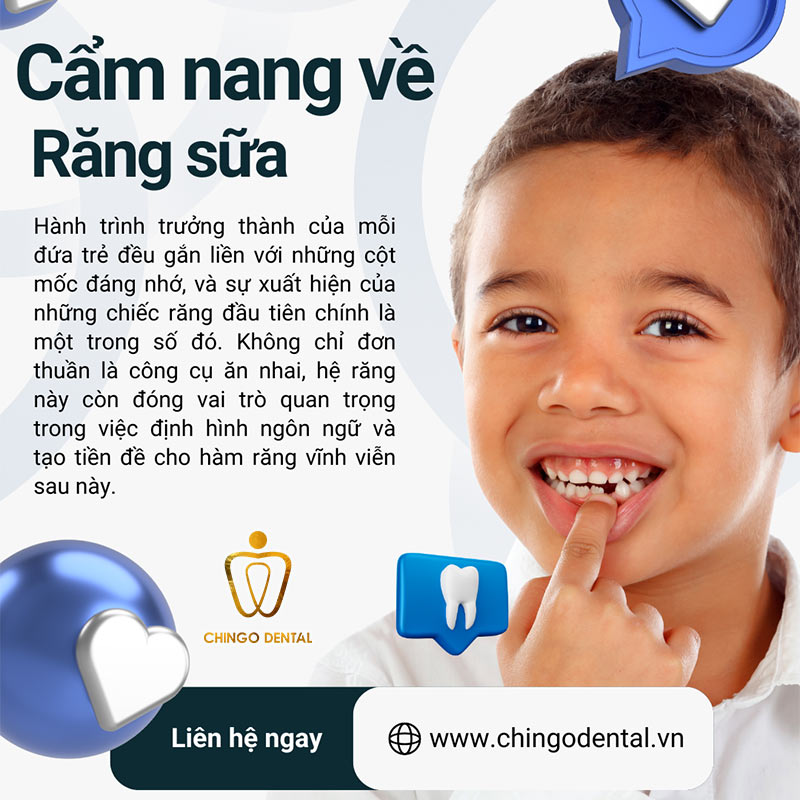 Cẩm Nang Toàn Diện Về Răng Sữa: Những Điều Cha Mẹ Cần Biết Để Bảo Vệ Nụ Cười Đầu Đời Của Bé 5 bé 5 tuổi thay răng sữa có sớm không