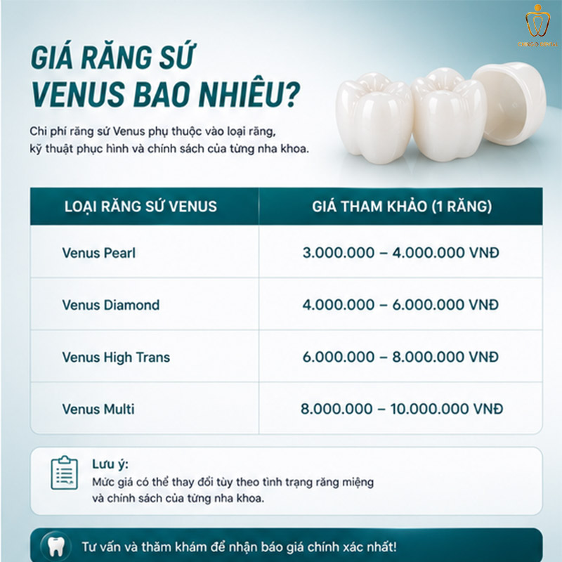 Răng Sứ Venus Là Gì? Giá, Phân Loại Và Có Tốt Không - Giải Đáp Toàn Diện Từ Chingo Dental 4 răng sứ venus giá bao nhiêu
