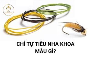 Chỉ tự tiêu nha khoa - thời gian tiêu và cẩm nang chăm sóc từ chuyên gia 2 chỉ tự tiêu nha khoa