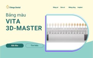 Bảng màu răng sứ thẩm mỹ: Kinh nghiệm chọn màu đẹp tự nhiên, không bị lố 3 Bảng màu răng sứ