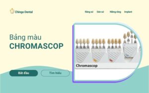 Bảng màu răng sứ thẩm mỹ: Kinh nghiệm chọn màu đẹp tự nhiên, không bị lố 4 Bảng màu răng sứ