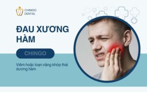 Xương Hàm Là Gì? Cấu Trúc Và Các Bệnh Lý Thường Gặp 8 xương hàm