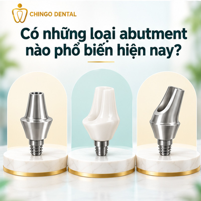 Abutment Là Gì? Tất Cả Những Điều Bạn Cần Biết Về Trụ Kết Nối Implant 3 custom abutment